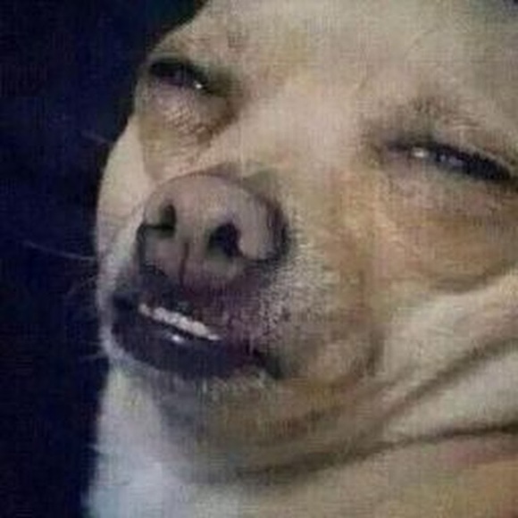 Meet your Posher, Mackey - Picture 1 of 1